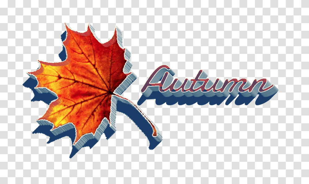 Autumn Images, Leaf, Plant, Tree, Maple Leaf Transparent Png