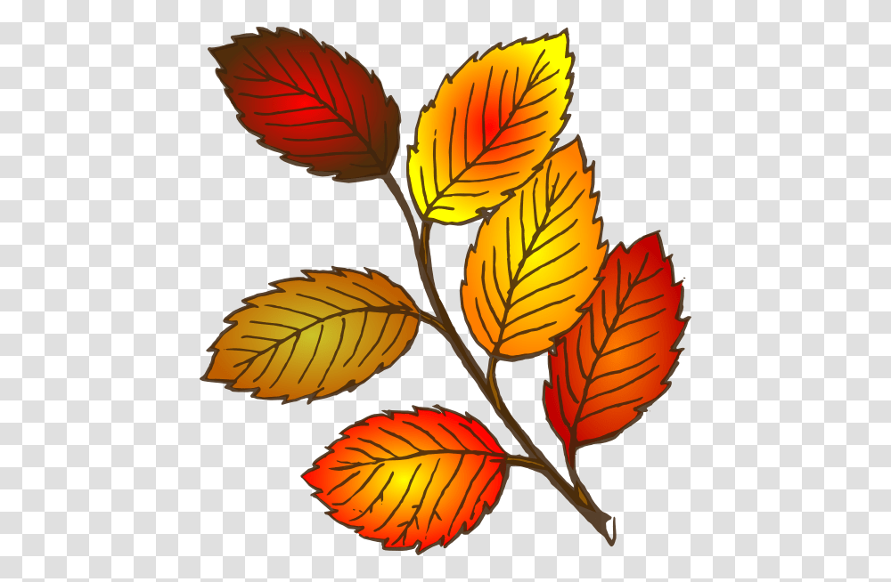 Autumn Leaf Clip Art, Plant, Veins, Herbs, Planter Transparent Png