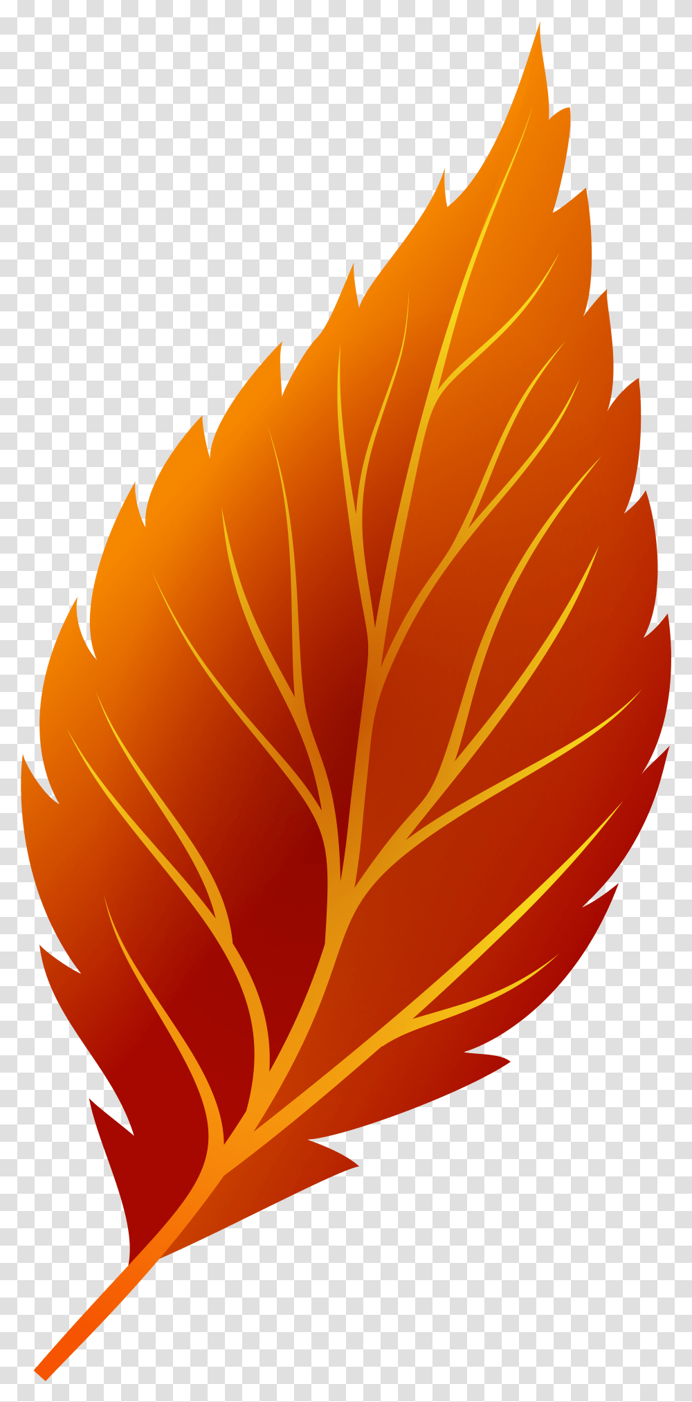 Autumn Leaf Clipart, Plant, Pattern, Ornament, Fractal Transparent Png