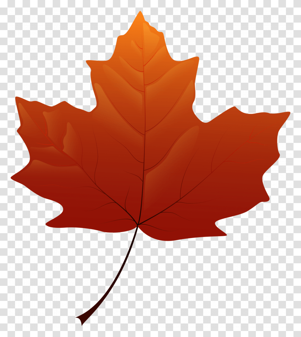 Autumn Leaf Clipart, Plant, Tree, Maple, Maple Leaf Transparent Png
