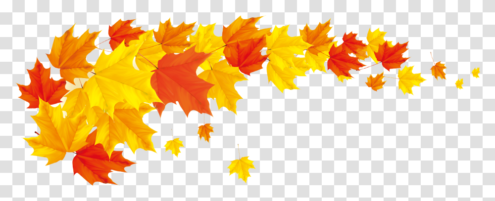 Autumn Leaf Color Banner Clip Art Fall Leaves Border, Plant, Tree, Maple, Maple Leaf Transparent Png