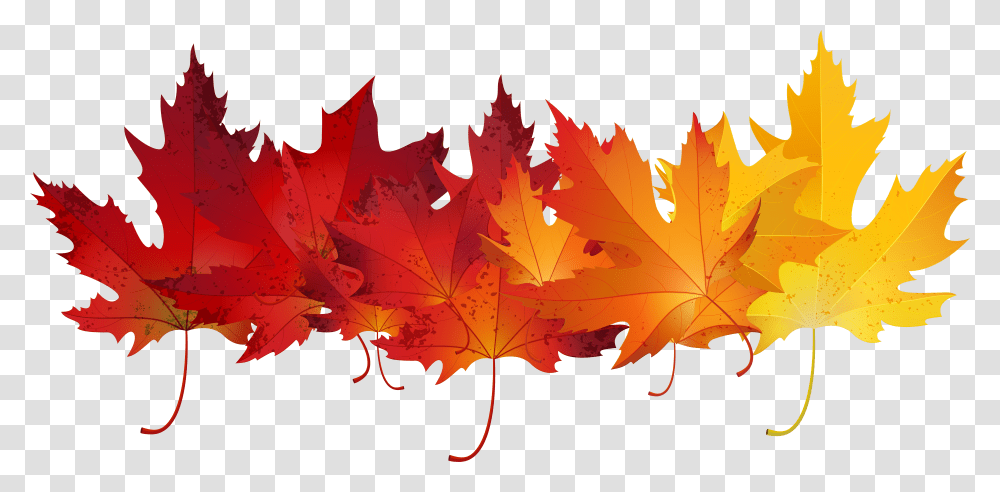 Autumn Leaf Color Clip Art Autumn Leaves Background,  Transparent Png