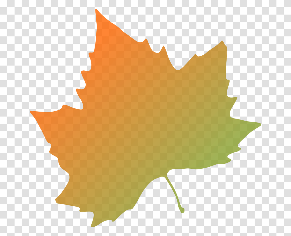 Autumn Leaf Color Tree Orange, Plant, Person, Human, Maple Leaf Transparent Png