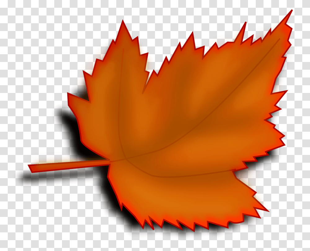 Autumn Leaf Computer Icons Download, Plant, Petal, Flower, Pattern Transparent Png