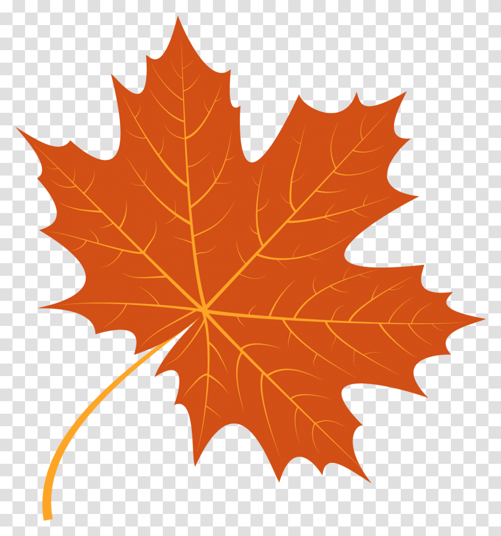 Autumn Leaf Free Vector, Plant, Tree, Maple, Maple Leaf Transparent Png