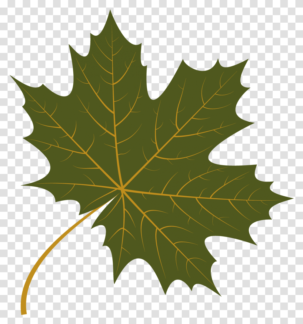 Autumn Leaf Free Vector, Plant, Tree, Maple, Person Transparent Png