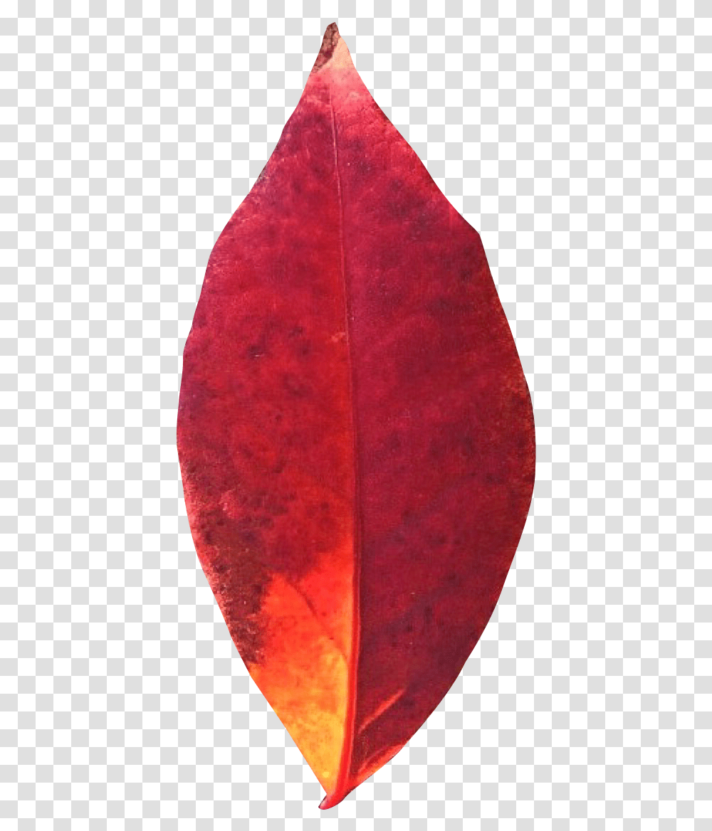 Autumn Leaf Image Pngpix Portable Network Graphics, Petal, Flower, Plant, Rug Transparent Png