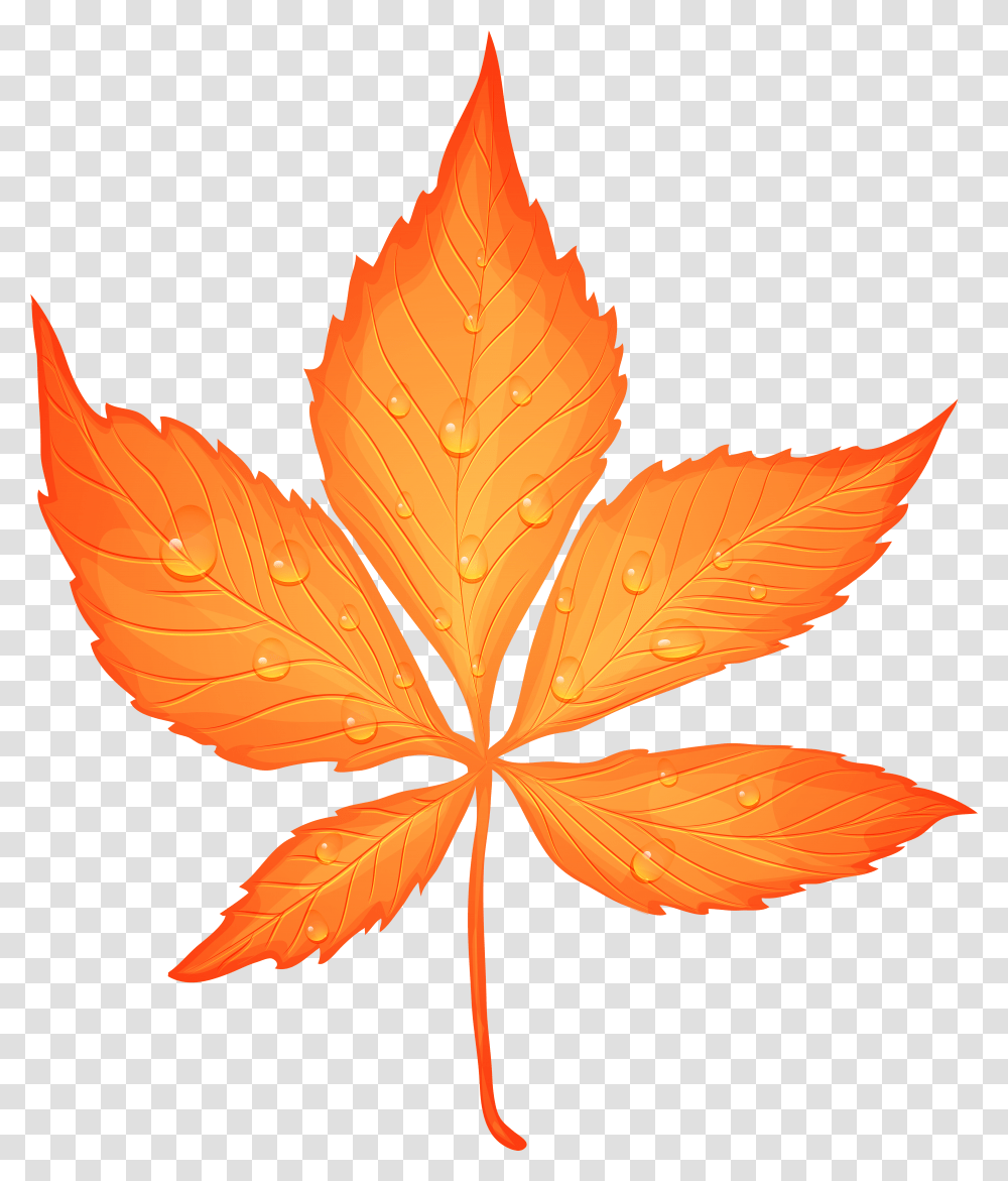 Autumn Leaf Leaf Download Yellow Fall Leaf Clip Art Transparent Png