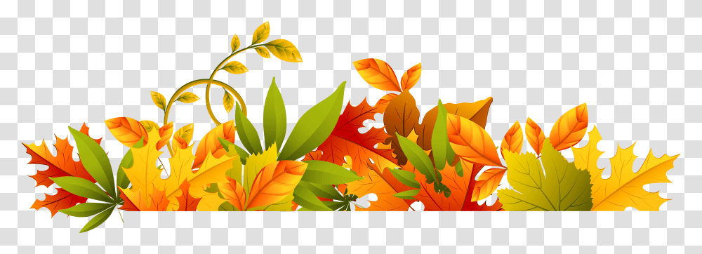 Autumn, Leaf, Plant, Green, Tree Transparent Png