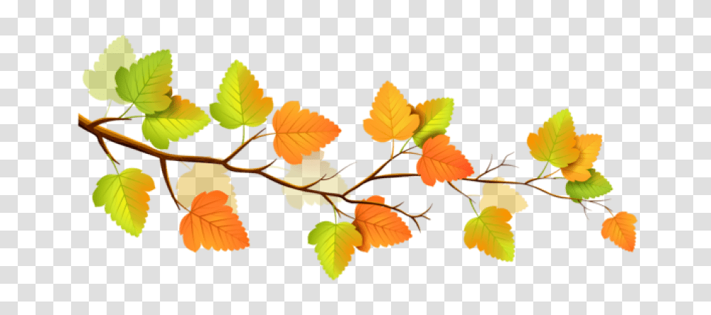 Autumn, Leaf, Plant, Green, Veins Transparent Png