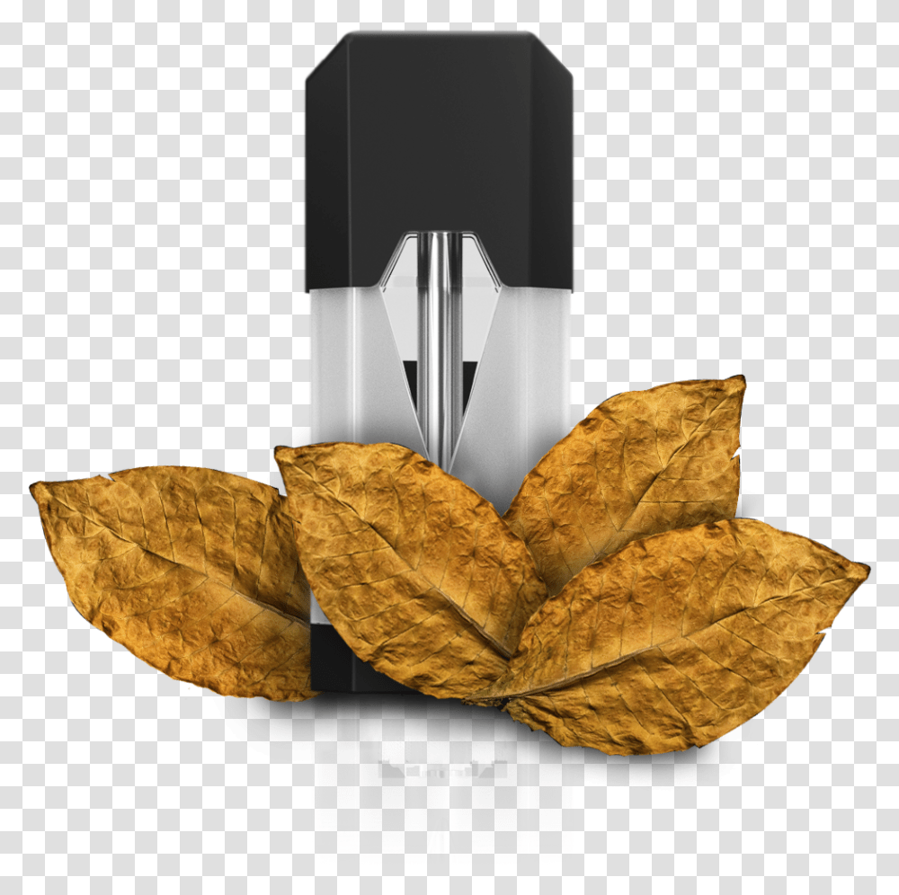 Autumn, Leaf, Plant, Lamp, Bottle Transparent Png