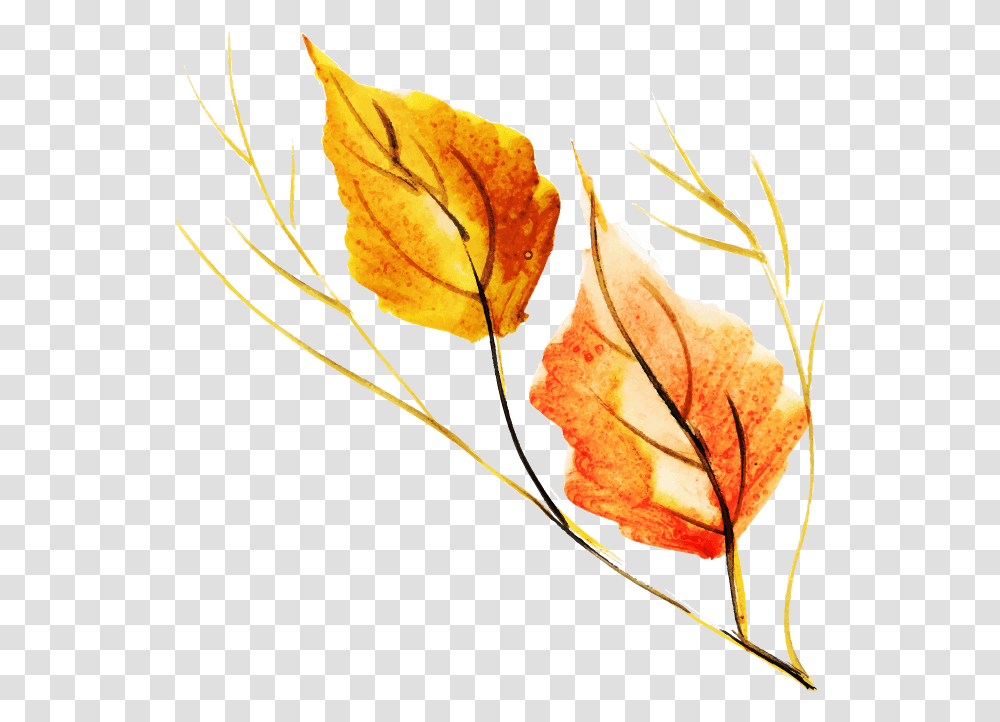 Autumn, Leaf, Plant, Maple Leaf, Pineapple Transparent Png