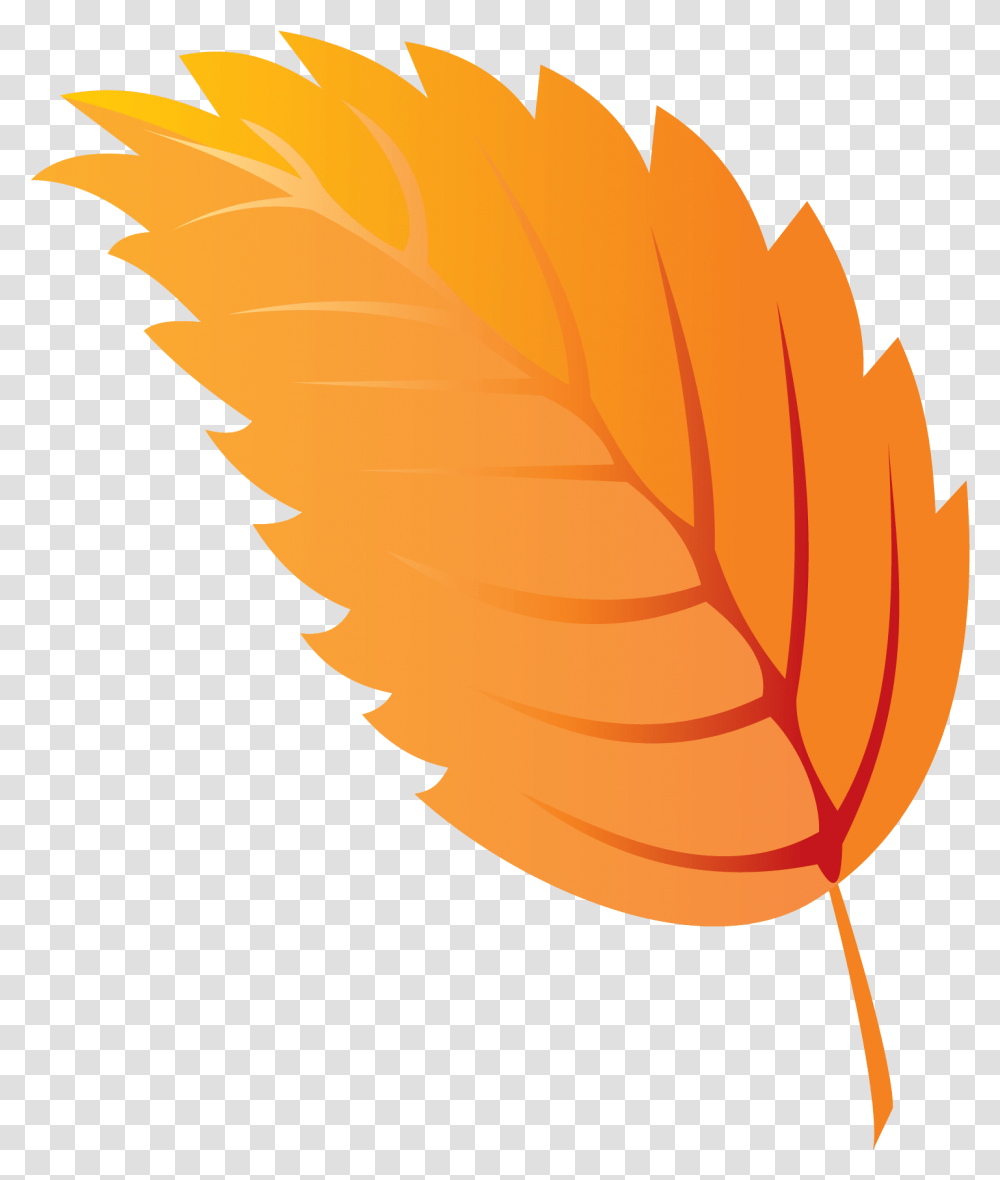 Autumn, Leaf, Plant, Maple Leaf, Veins Transparent Png