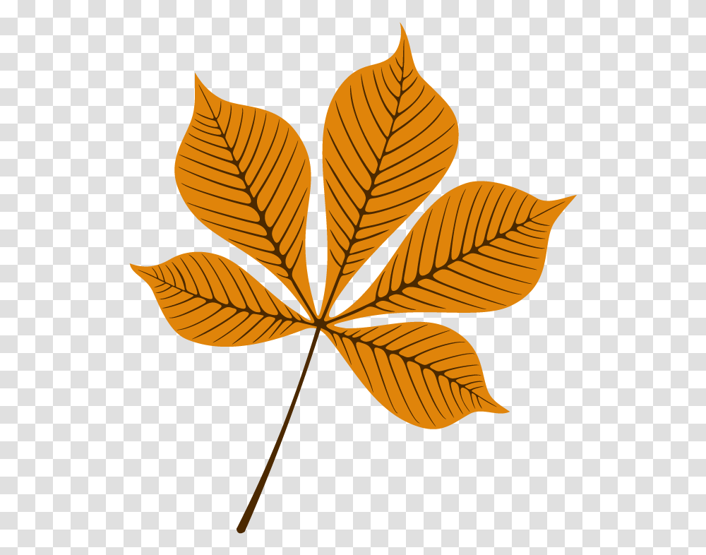 Autumn, Leaf, Plant, Pattern, Bird Transparent Png