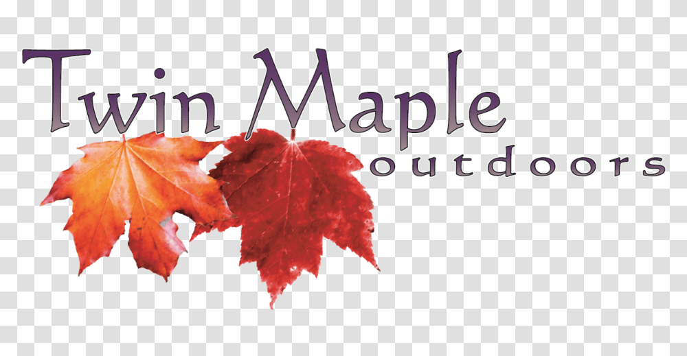 Autumn, Leaf, Plant, Tree, Maple Leaf Transparent Png