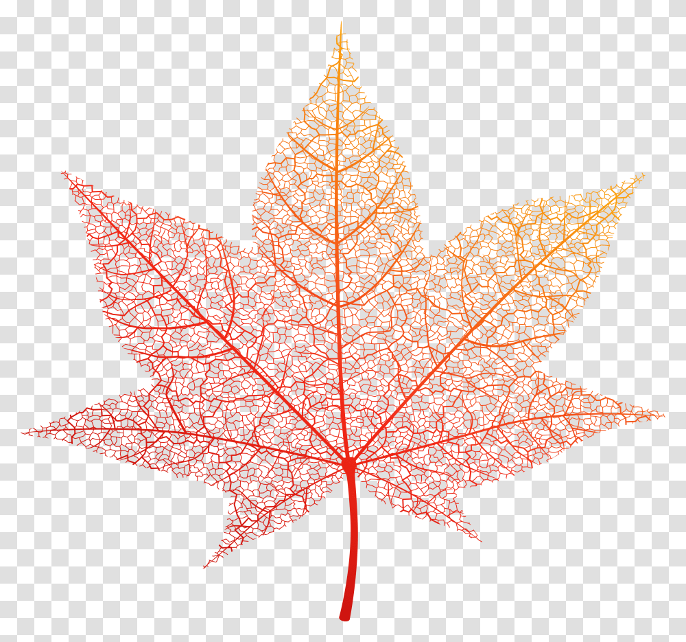 Autumn Leaf, Plant, Tree, Maple Leaf, Vegetation Transparent Png