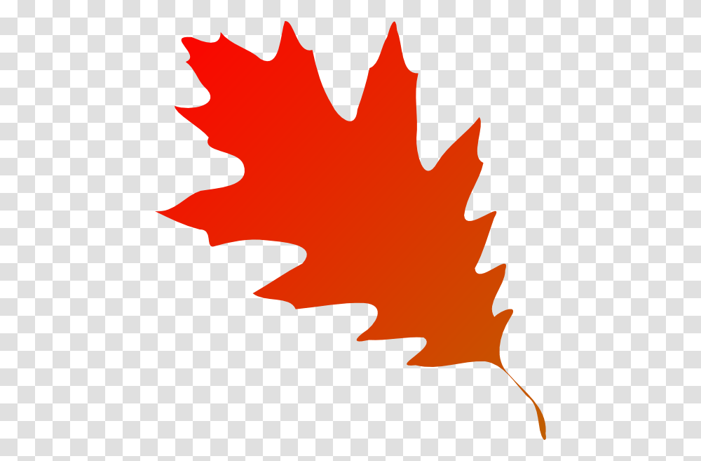 Autumn Leaf Red Orange Clip Art, Plant, Tree, Maple, Maple Leaf Transparent Png