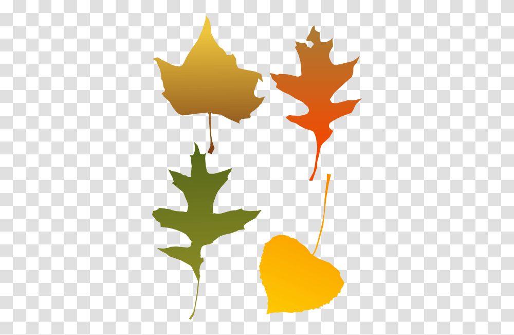 Autumn Leaf Selection Clip Art, Plant, Maple Leaf, Tree Transparent Png