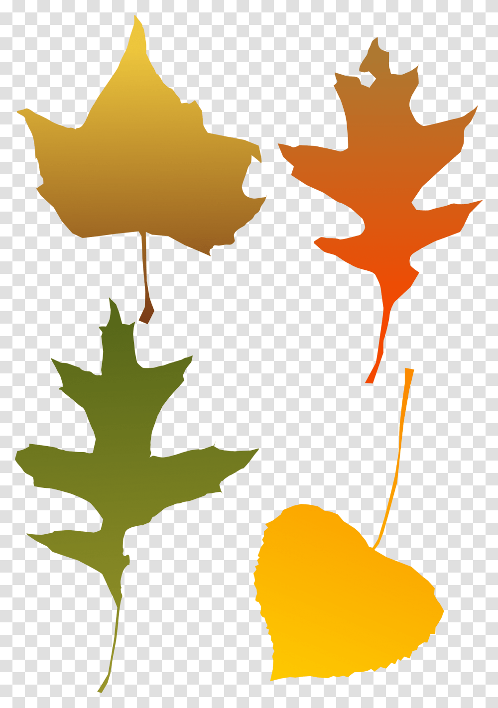 Autumn Leaf Selection Icons, Plant, Tree, Maple Leaf, Person Transparent Png