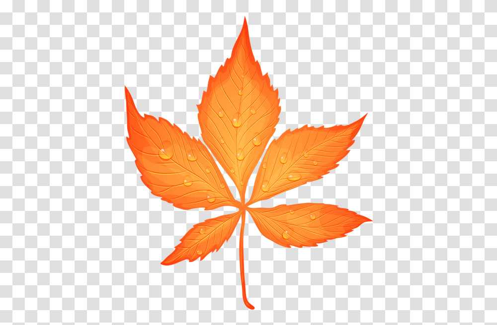 Autumn Leaf With Dew Drops Clip Art Image Fall Leaf Background, Plant, Maple Leaf, Bird, Animal Transparent Png