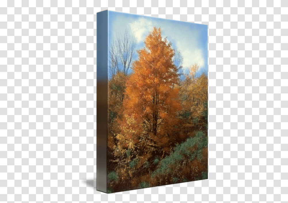 Autumn Leaves Art Print Fall Trees Forest By Wanda Edwards Grove, Plant, Vegetation, Painting, Conifer Transparent Png