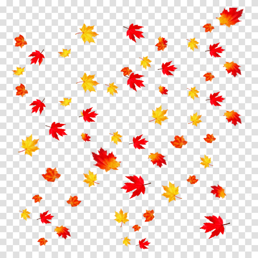 Autumn Leaves Background Clipart Fall Leaves Background, Leaf, Plant, Paper, Rug Transparent Png