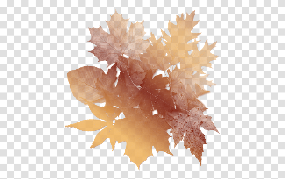 Autumn Leaves Background Oak Tree Leaf, Plant, Silhouette, Maple Leaf, Bird Transparent Png