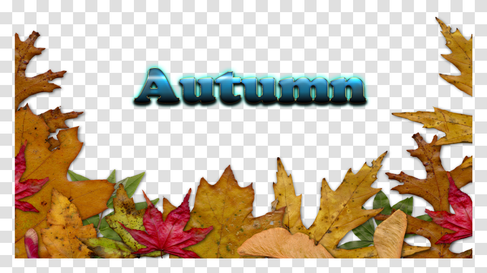 Autumn Leaves Border, Leaf, Plant, Tree, Maple Leaf Transparent Png