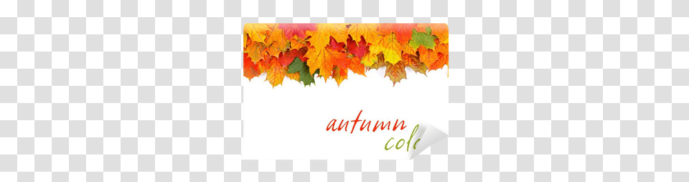 Autumn Leaves Border Wall Mural • Pixers We Live To Change Horizontal, Leaf, Plant, Tree, Maple Leaf Transparent Png