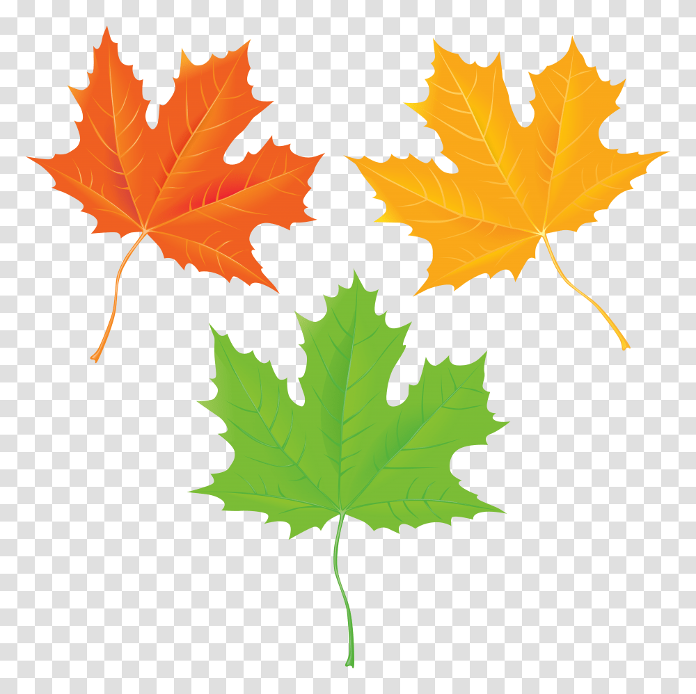 Autumn Leaves Clip Art, Leaf, Plant, Maple Leaf, Tree Transparent Png