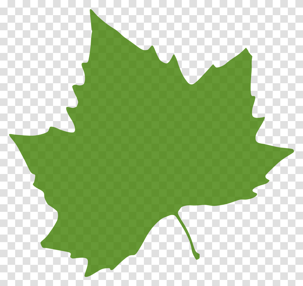 Autumn Leaves Clip Art, Leaf, Plant, Tree, Maple Leaf Transparent Png