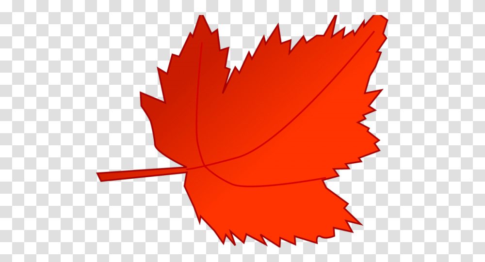 Autumn Leaves Clipart Animated Red Autumn Leaves Clipart Maple Leaf Clipart Free, Plant, Tree, Texture, Feather Boa Transparent Png