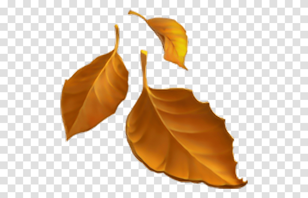 Autumn Leaves Clipart Emoji Fall Leaves Emoji, Leaf, Plant, Person, Human Transparent Png