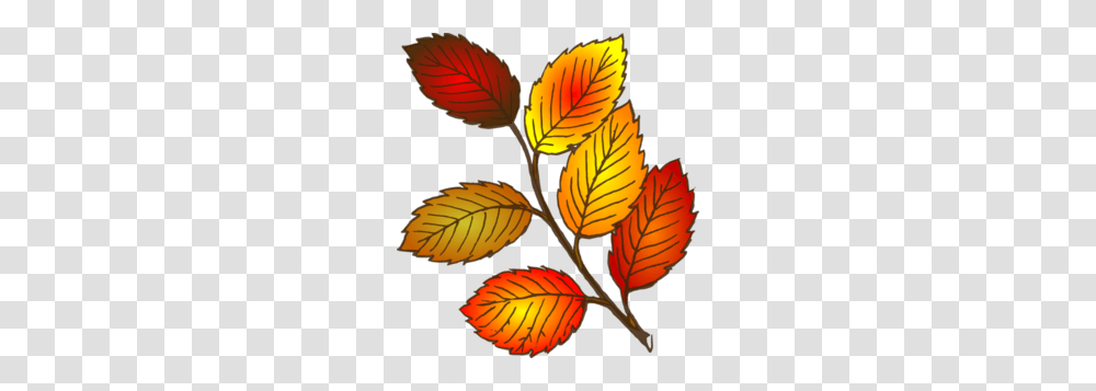 Autumn Leaves Clipart Explore Pictures, Leaf, Plant, Potted Plant, Vase Transparent Png