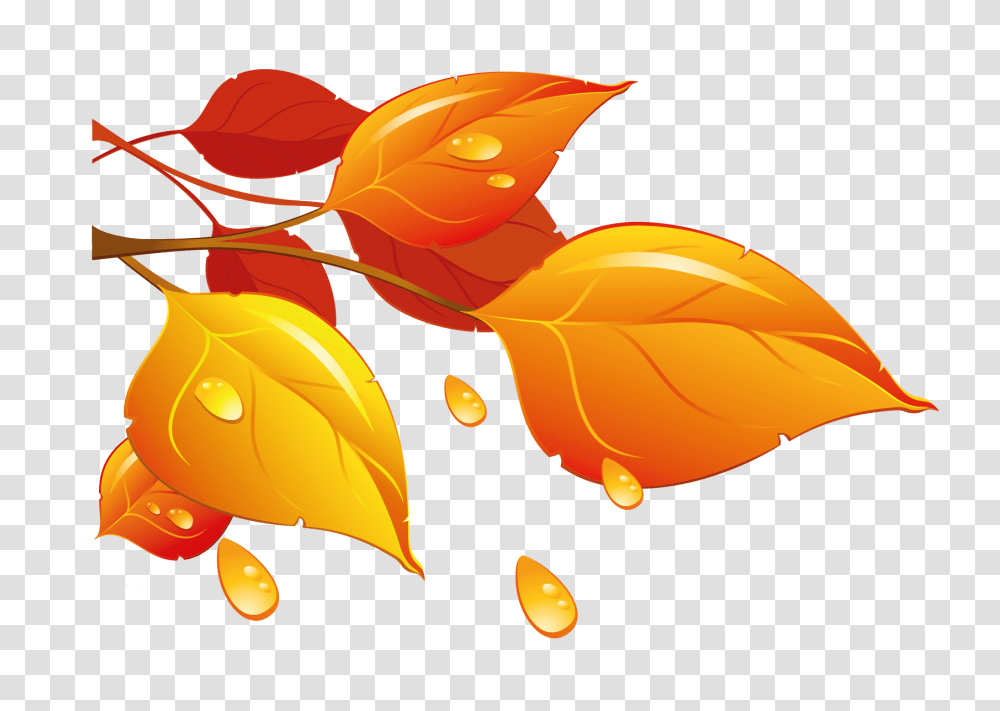 Autumn Leaves Clipart Fall Leaves Clipart Autumn Leaf Background, Graphics, Plant, Floral Design, Pattern Transparent Png