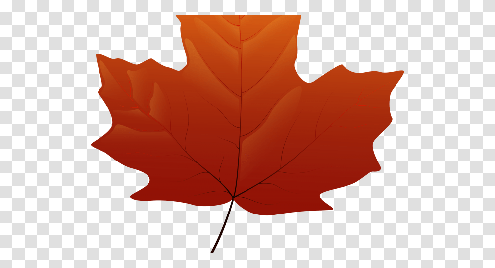 Autumn Leaves Clipart Free Clip Art Falling, Leaf, Plant, Tree, Maple Transparent Png