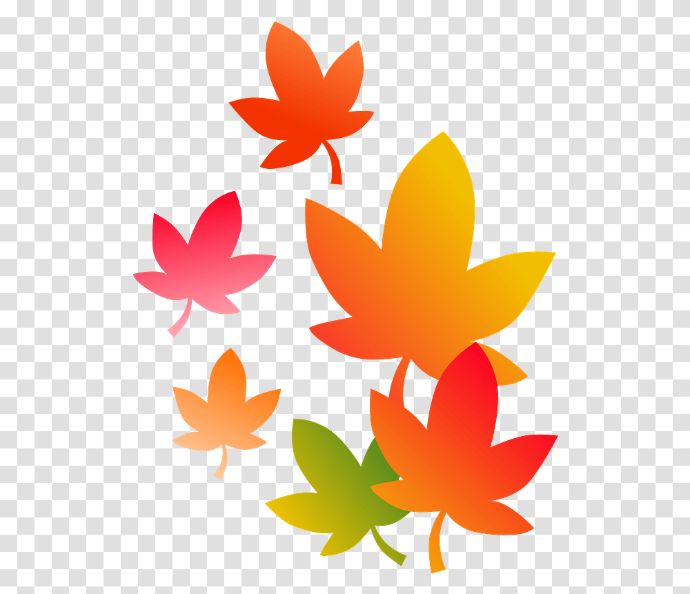Autumn Leaves Clipart Free Download Floral, Leaf, Plant, Maple Leaf, Tree Transparent Png