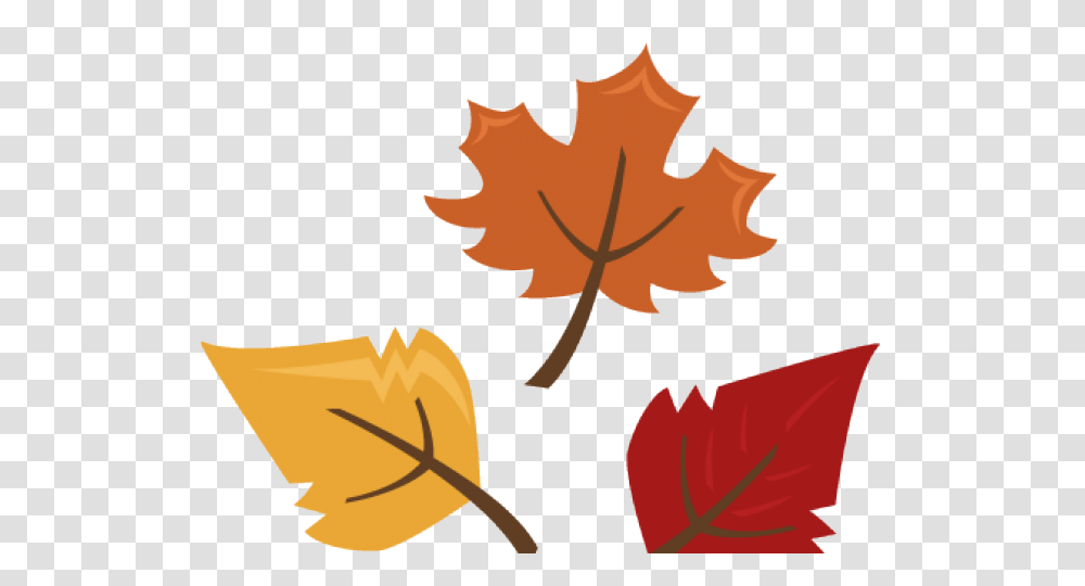Autumn Leaves Clipart Season Cute Fall Leaves Clipart, Leaf, Plant, Maple Leaf, Tree Transparent Png