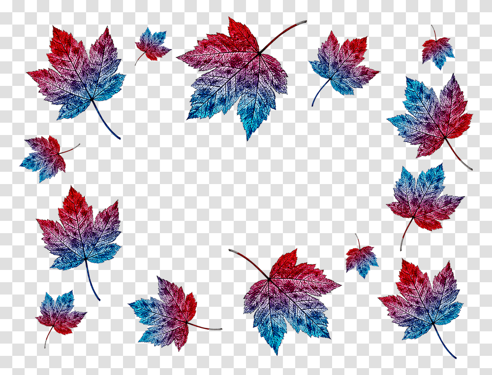 Autumn Leaves Collage Background Nature Maple Leaf, Plant, Tree, Veins Transparent Png