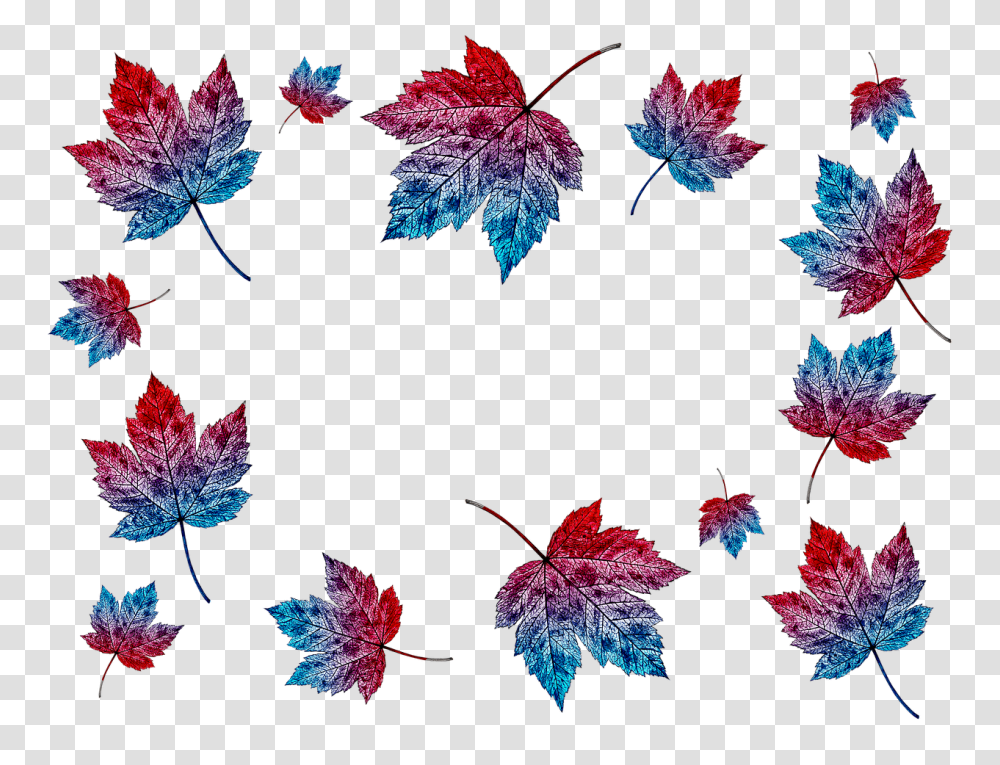 Autumn Leaves Collage Collage De Hojas De, Leaf, Plant, Tree, Maple Transparent Png