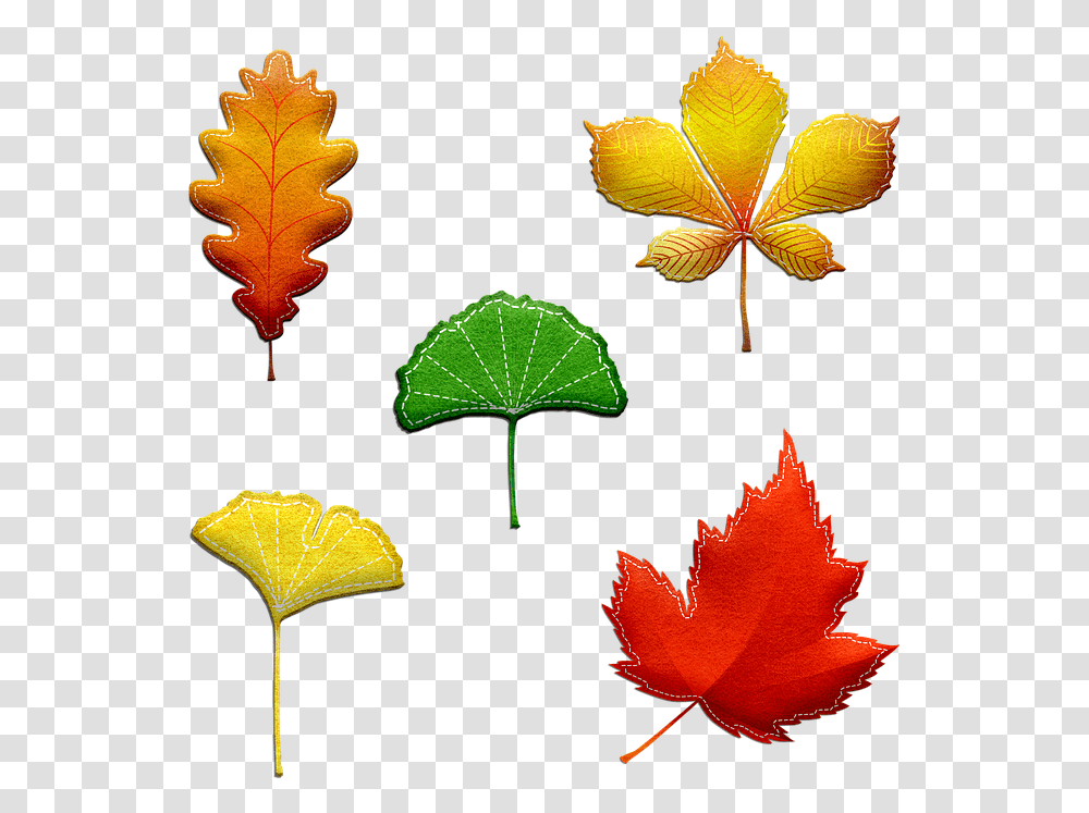 Autumn Leaves Felted And Stitched Leaves Fall Tree Leaf, Plant, Maple, Veins, Maple Leaf Transparent Png