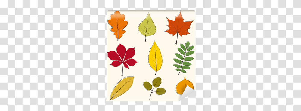 Autumn Leaves Icon Wall Mural • Pixers We Live To Change Autumn Leaves Icon, Leaf, Plant, Tree, Painting Transparent Png