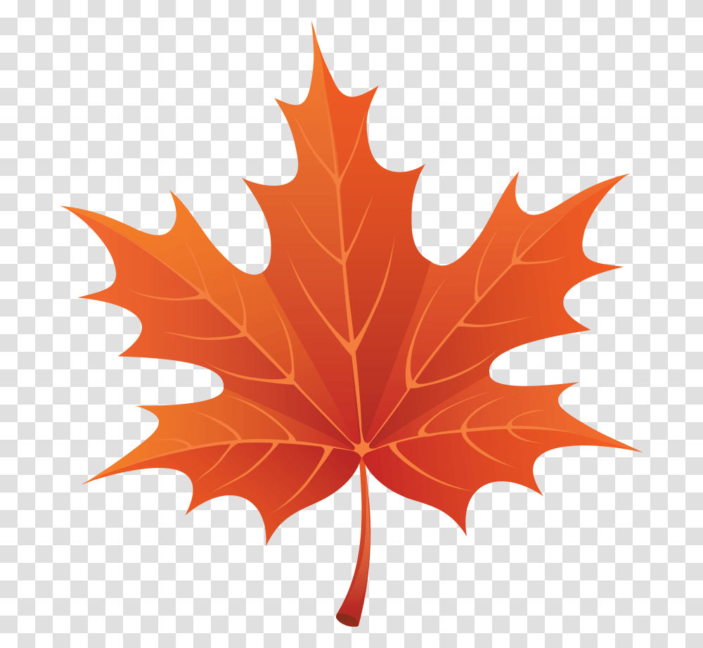 Autumn Leaves Images Free Yellow Leaves Cartoon Fall Leaf, Plant, Tree, Maple, Maple Leaf Transparent Png