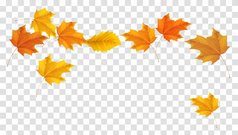 Autumn Leaves, Leaf, Plant, Tree, Maple Leaf Transparent Png