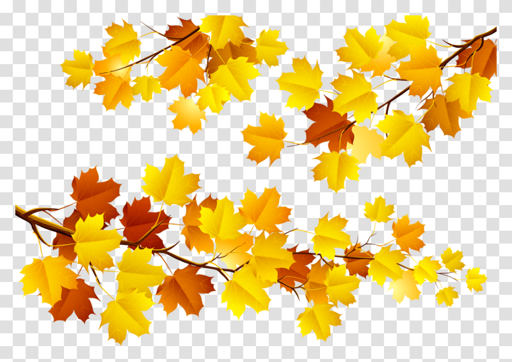 Autumn Leaves, Leaf, Plant, Tree, Maple Leaf Transparent Png