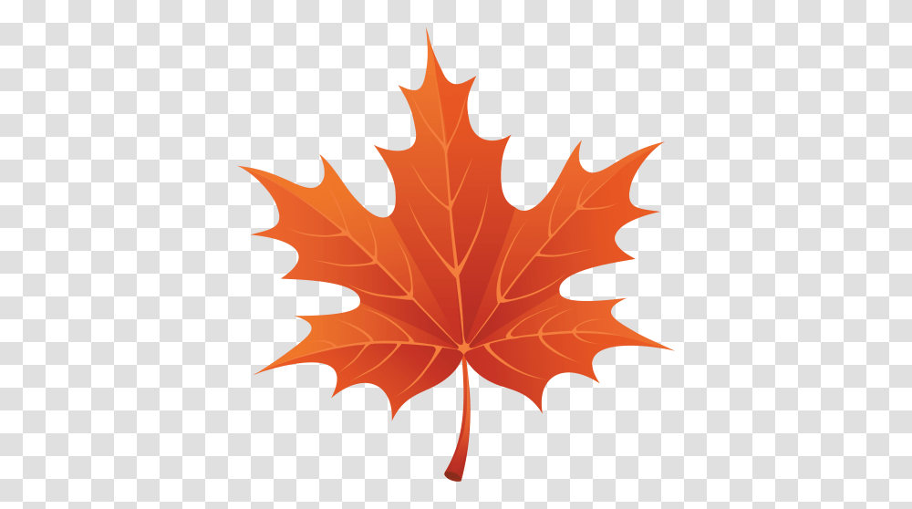 Autumn Leaves, Leaf, Plant, Tree, Maple Transparent Png