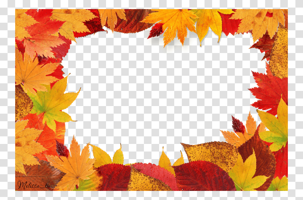 Autumn Leaves, Nature, Leaf, Plant, Tree Transparent Png