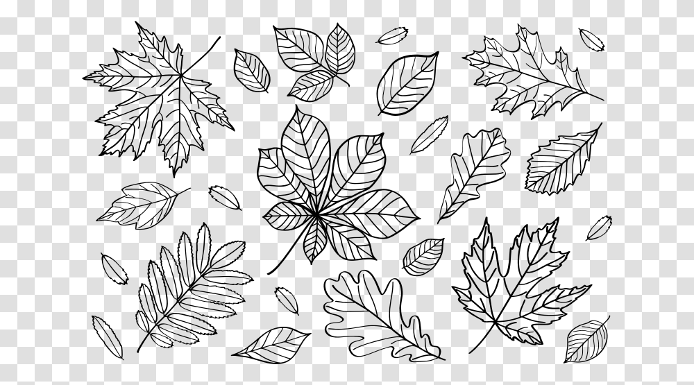 Autumn Leaves Outlines Outline Fall Leaves Clip Art, Gray, World Of Warcraft Transparent Png