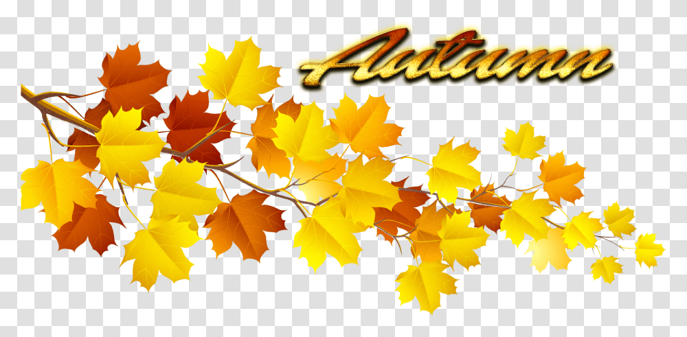 Autumn Leaves Pic Autumn Tree Leaves, Leaf, Plant, Maple, Maple Leaf Transparent Png