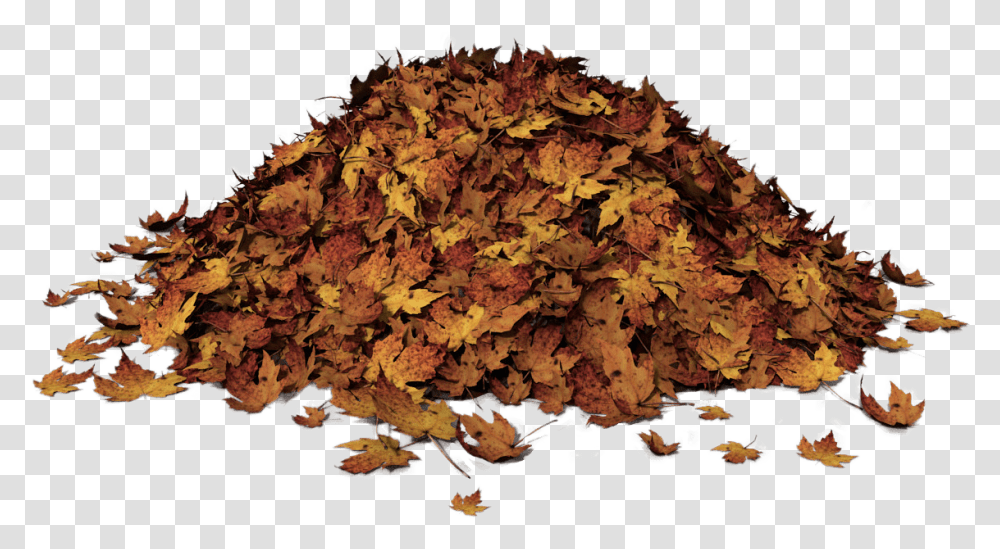 Autumn Leaves Pile Of Leaves, Leaf, Plant, Tree, Map Transparent Png